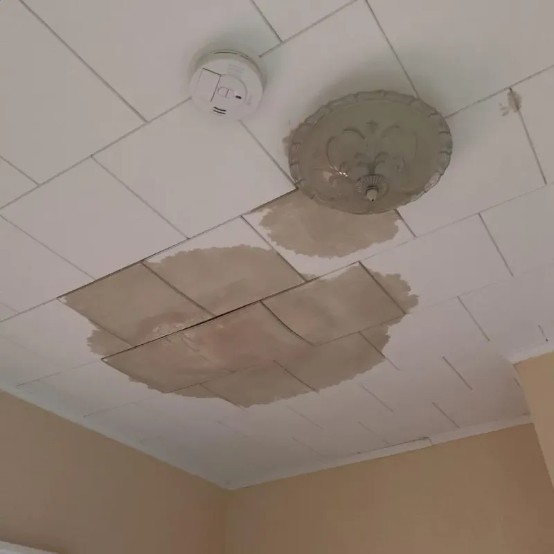 Ceiling Water Damage Repair in McCurtain County, OK