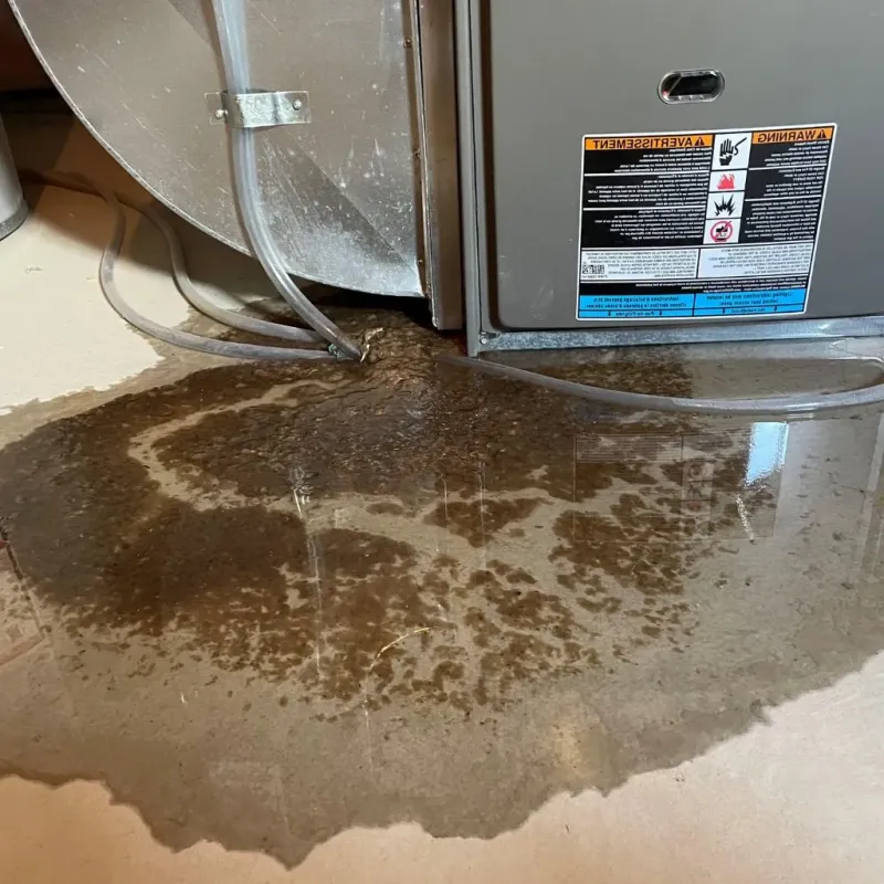 Pipe Burst and Leak Restoration in McCurtain County, OK